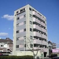 栃木県宇都宮市東宿郷6(マンション)の賃貸物件の外観