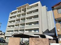 ブルズアイの外観