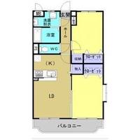 アクエリアス丸井の間取り