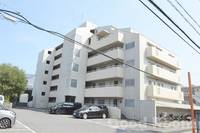 徳島県徳島市住吉4(マンション)の賃貸物件の外観