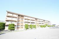 徳島県徳島市万代町5(マンション)の賃貸物件の外観
