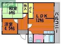 国富コーポの間取り