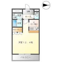サイネリア丸美の間取り