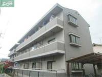 プリムローズの外観