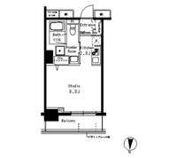 東京都江東区亀戸1(マンション)の賃貸物件の間取り