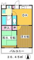 金子ハイツの間取り