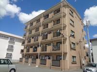 静岡県浜松市中央区丸塚町(マンション)の賃貸物件の外観