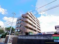 埼玉県新座市栄3(マンション)の賃貸物件の外観