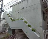 TDビルの外観