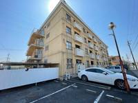 滋賀県近江八幡市若葉町3(マンション)の賃貸物件の外観