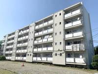 神奈川県秦野市戸川(マンション)の賃貸物件の外観