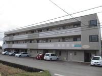 ロムルス平面の外観