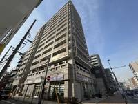 東京都江東区白河1(マンション)の賃貸物件の外観