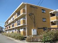 静岡県袋井市堀越2(マンション)の賃貸物件の外観