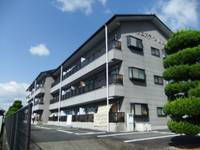 岡山県津山市神戸(マンション)の賃貸物件の外観