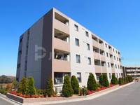 千葉県船橋市藤原2(マンション)の賃貸物件の外観