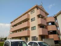 サンシャインコート 犬猫可 角の外観