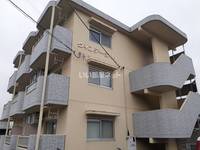 ヴィンテージMの外観