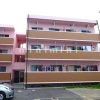 熊本県熊本市中央区黒髪1(マンション)の賃貸物件の外観