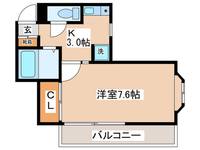 リッツIWASAKIの間取り