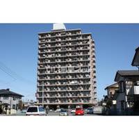 栃木県宇都宮市御幸ケ原町(マンション)の賃貸物件の外観