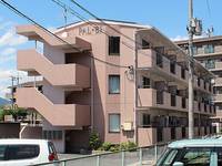 岡山県岡山市中区さいの賃貸マンションの外観