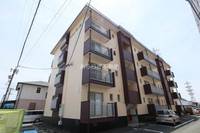 静岡県浜松市中央区丸塚町(マンション)の賃貸物件の外観