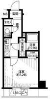 東京都江東区住吉2(マンション)の賃貸物件の間取り
