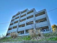 ウェルストン・シャルムの外観