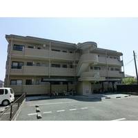 ホワイトアルバムの外観