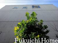 東京都渋谷区本町5(マンション)の賃貸物件の外観