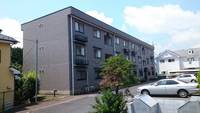 神奈川県厚木市温水(マンション)の賃貸物件の外観