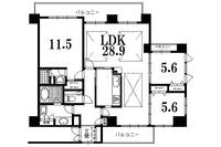 京都府京都市上京区新烏丸頭町(マンション)の賃貸物件の間取り
