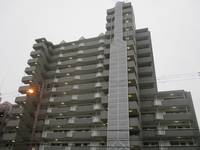 大阪府大阪市住之江区南加賀屋2(マンション)の賃貸物件の外観
