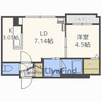 ビッグレジデンス美園の間取り