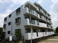 神奈川県藤沢市円行2(マンション)の賃貸物件の外観