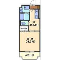 愛知県名古屋市名東区小井堀町(マンション)の賃貸物件の間取り