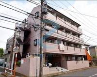 千葉県浦安市堀江6(マンション)の賃貸物件の外観