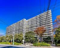 神奈川県川崎市高津区久本3(マンション)の賃貸物件の外観