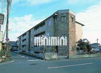 ステラ21の外観