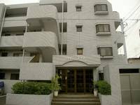 シャイニー・エイトの外観