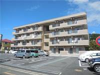 アベリアの外観