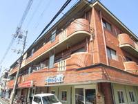 若園ハイツの外観