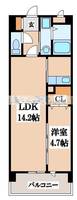 メゾンラフィネの間取り
