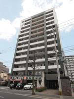 シグナスの外観