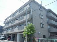 東京都杉並区南荻窪3(マンション)の賃貸物件の外観