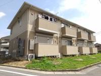 クリプトメリアの外観