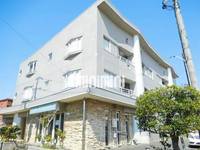 ウェルストン市川の外観