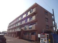 神奈川県小田原市中曽根(マンション)の賃貸物件の外観