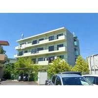 グリーンアップルの外観